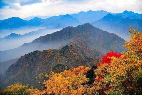 岱岱吃瓜秦岭,揭秘秦岭神秘面纱